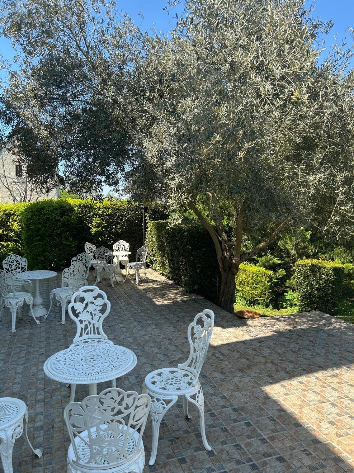 Hotel Logis Demeure De La Vignole Turquant Exteriér fotografie