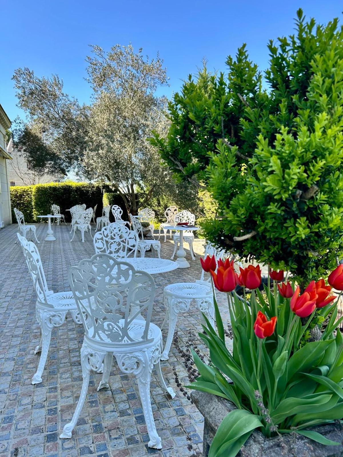 Hotel Logis Demeure De La Vignole Turquant Exteriér fotografie